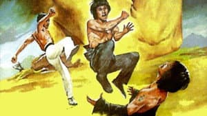 Bruce and Shaolin Kung Fu — foto 1