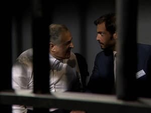 Episodio 134