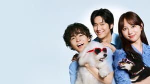 初恋DOGs — foto 5