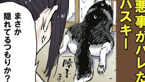 Episodio 49