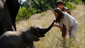 An Elephant's Journey — foto 2