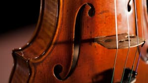 The Violin Alone — foto 11