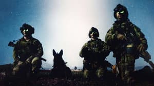 War Dog: El Mejor Amigo De Un Soldado — foto 3