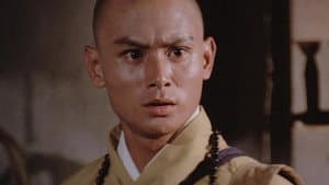 Las 36 cámaras del Shaolin — foto 4