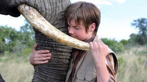 An Elephant's Journey — foto 1