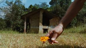 सातवीं सैर — foto 5