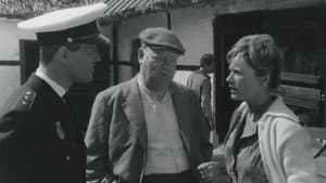 Den hvide hingst — foto 1