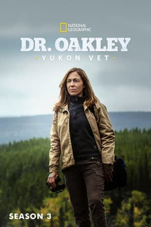 Temporada 3