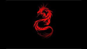 Dragón Rojo — foto 11