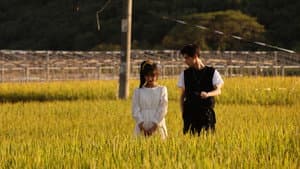 同学，你什么时候从我家搬走？ — foto 3