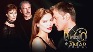 El Privilegio de Amar — foto 5