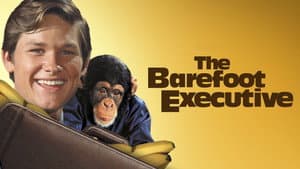 The Barefoot Executive — foto 6