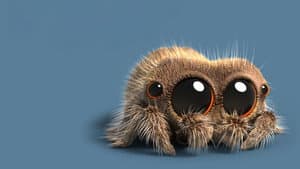 Lucas the Spider — foto 5