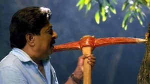 യു ടൂ ബ്രുട്ടസ് — foto 2