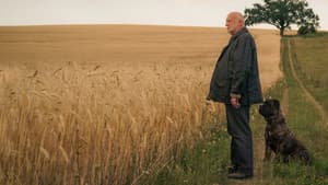Unterleuten - Das zerrissene Dorf — foto 1
