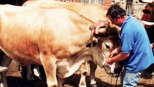 Les métiers d'autrefois : Toi ! L'Auvergnat... Dernier Paysan ! — foto 1