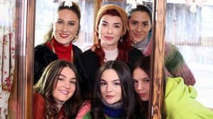 Episodio 15