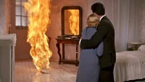 Marguerite de la nuit — foto 5