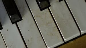 Sentimental Value — foto 1
