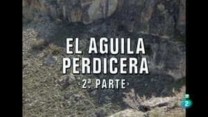 Episodio 10