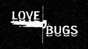 Love Bugs — foto 1