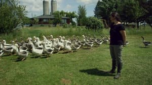 La ferme et son état — foto 6