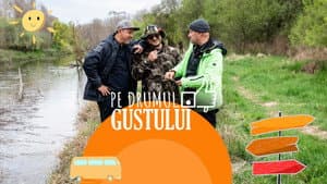 Episodio 8