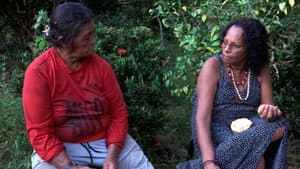 Xingu à margem — foto 5