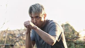 春に散る — foto 1
