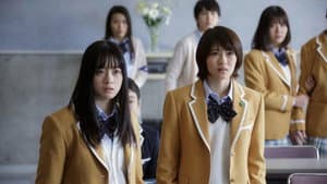 シグナル100 — foto 1