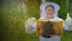 The Secret Life of Bees — foto 2