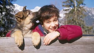 Baby Rex - Der kleine Kommissar — foto 1