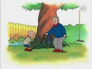 Episodio 37