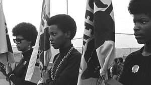 The Black Panthers: Vanguard of the Revolution — foto 1