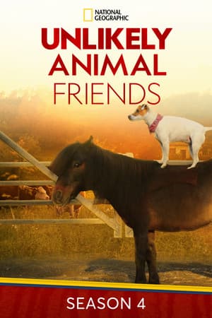 Temporada 4