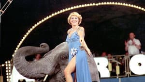 Cirkus na zelené louce — foto 1