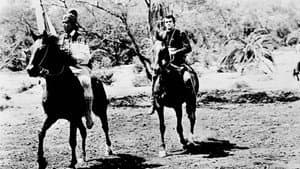 Seminole — foto 3