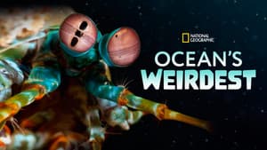 Ocean's Weirdest — foto 2