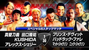 NJPW The New Beginning in Hiroshima 2014 — foto 3