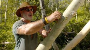 Bushcraft Build-Off — foto 2