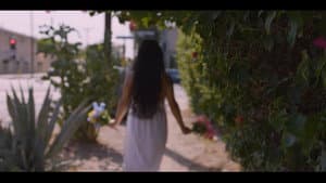 Petals — foto 2