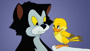 Fígaro y Frankie — foto 8