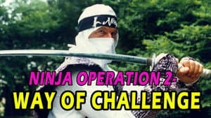 Ninja Strike Force — foto 4