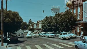 Life in Australia: Wagga Wagga — foto 3
