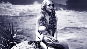 Miranda — foto 3