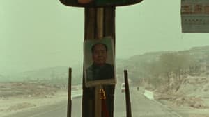 小武 — foto 5
