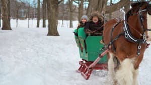A Royal Christmas Crush — foto 5