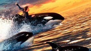 Liberen a Willy 2 — foto 1
