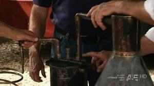 Episodio 7