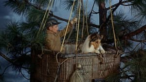 Lassie's Great Adventure — foto 1